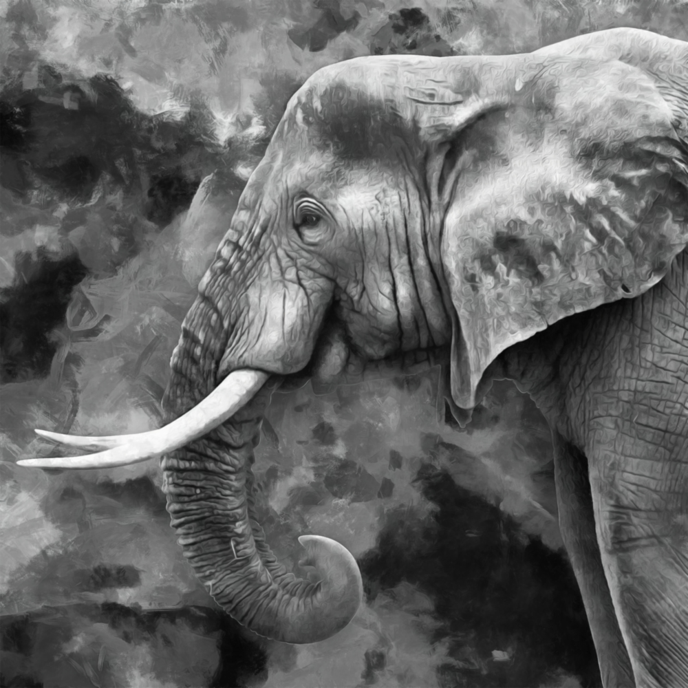 Elephant Glass Wall Art