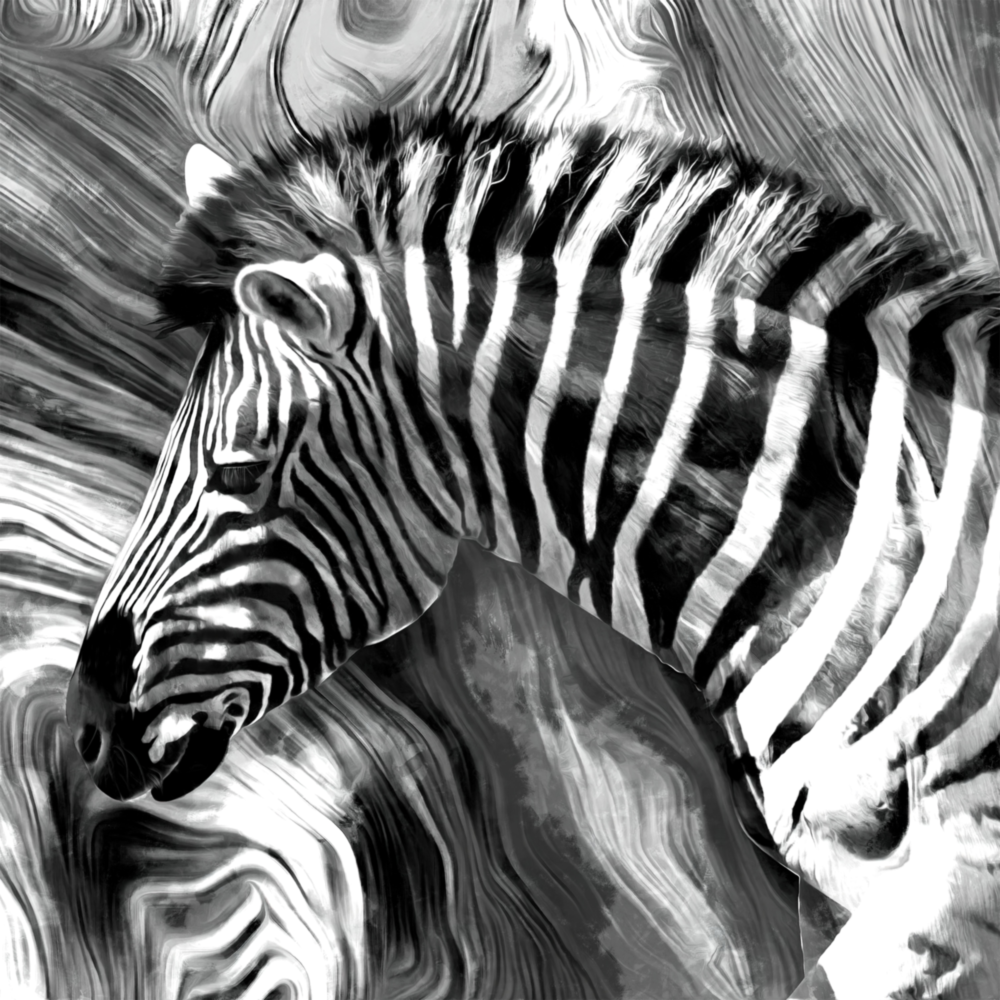 Zebra Glass Wall Art