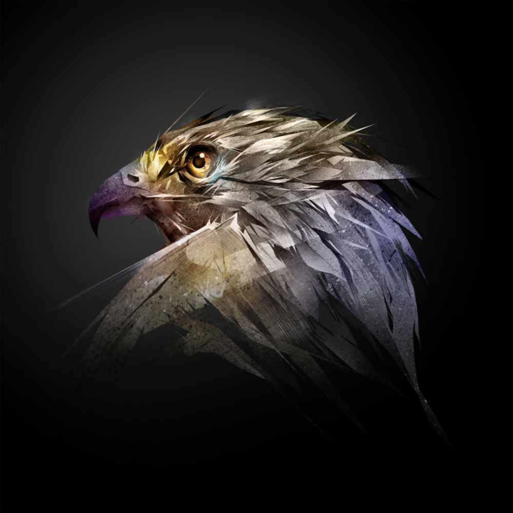 Falcon Glass Wall Art