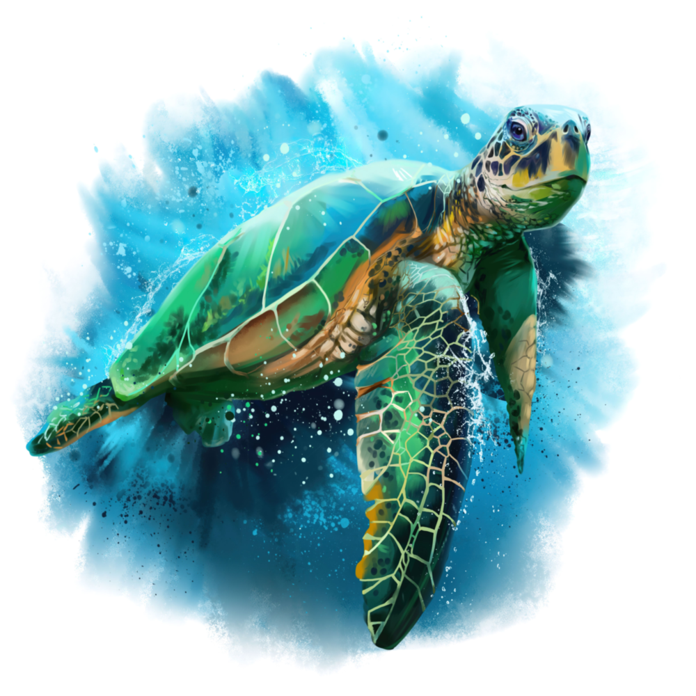 Caretta Caretta Glass Wall Art