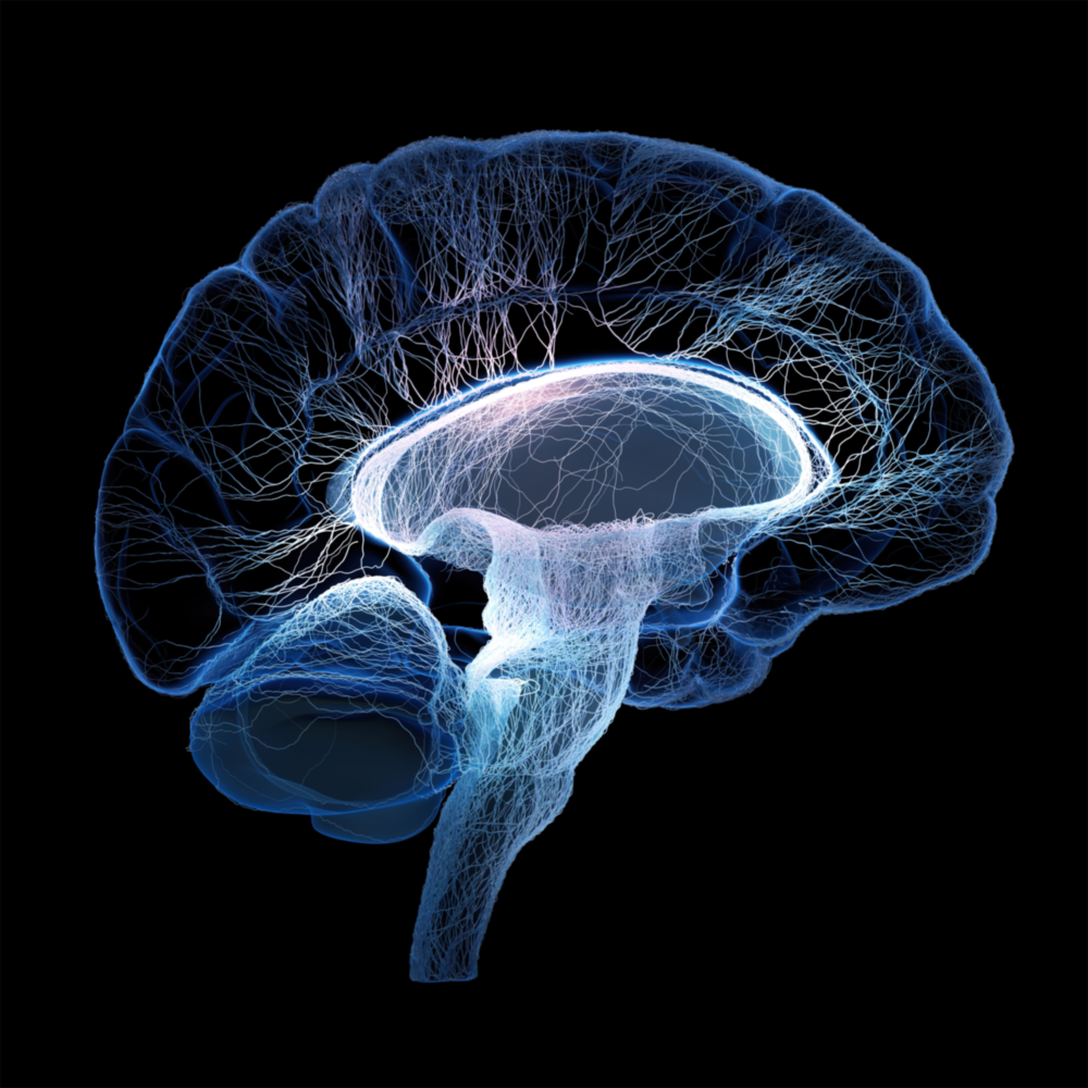 Brain Glass Wall Art