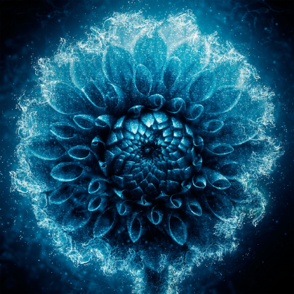 Flower Glass Wall Art