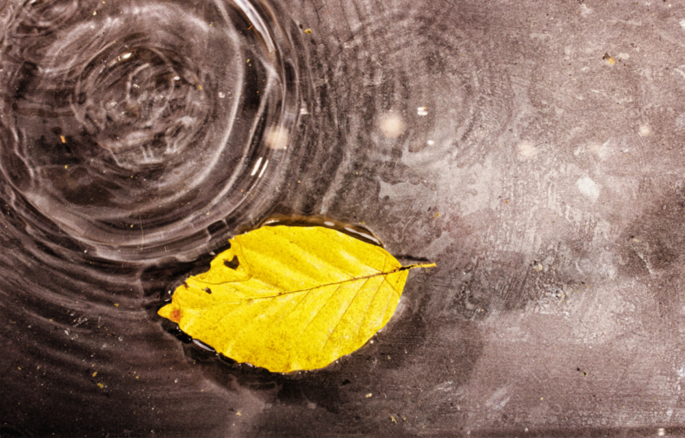 Yellow Leaf Glass Wall Art
