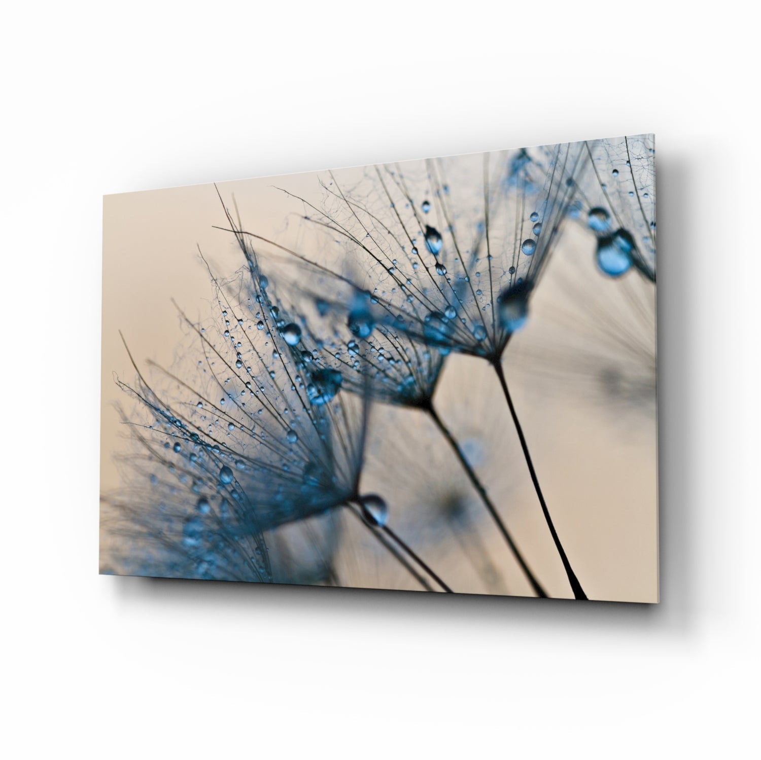 Flower Glass Wall Art.