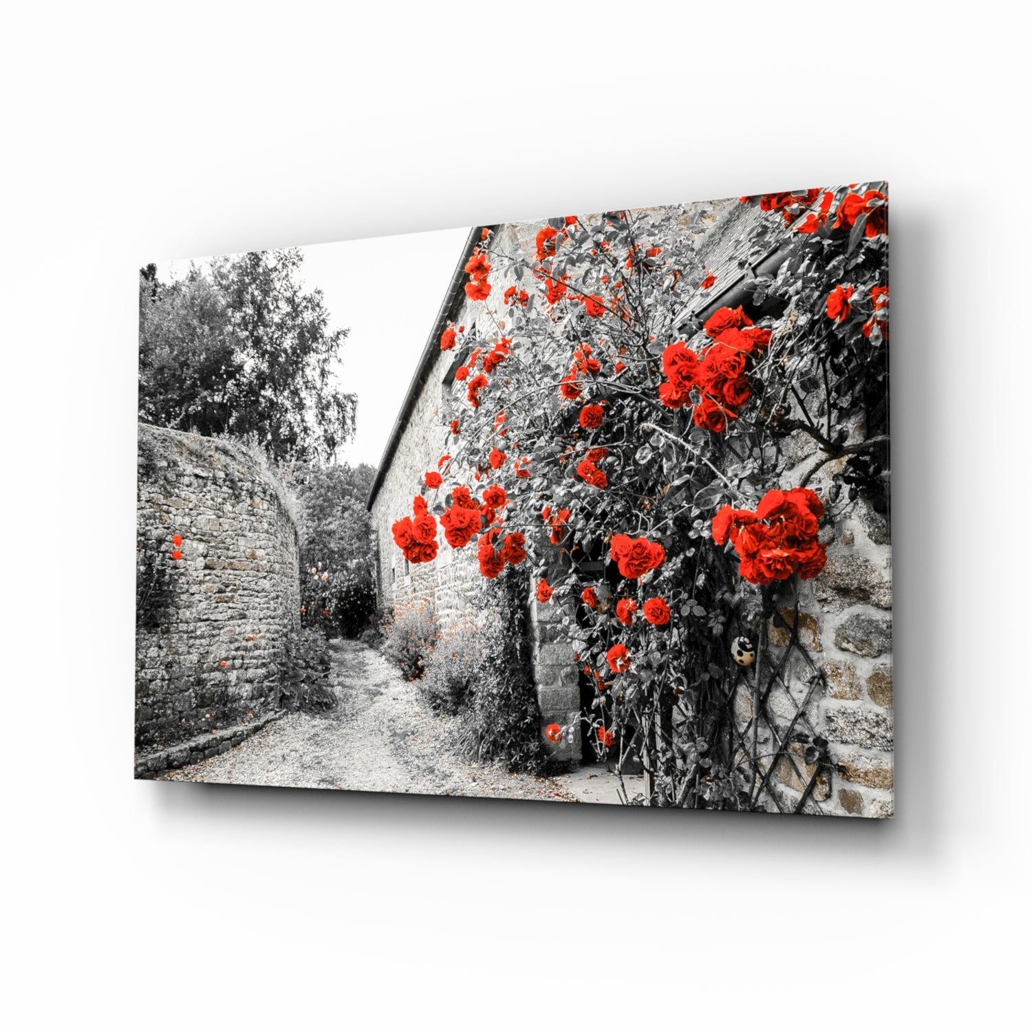 Red Rose Glass Wall Art.