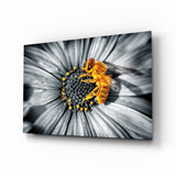Honey Bee Glass Wall Art.