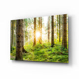 Glass Wall Art