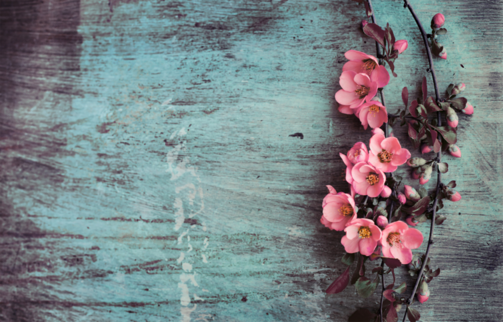 Pastel Flower Glass Wall Art