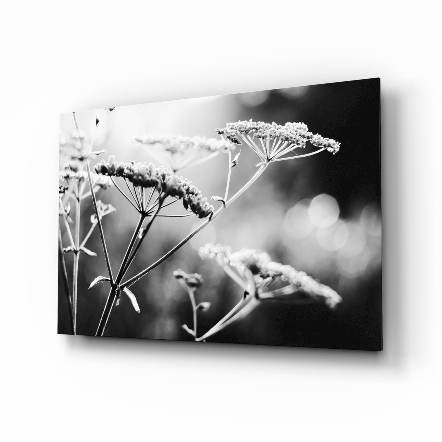 Flower Glass Wall Art.