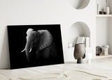Elephant Glass Wall Art.