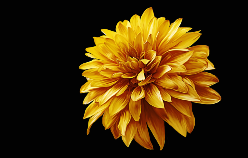 Yellow Flower Glass Wall Art