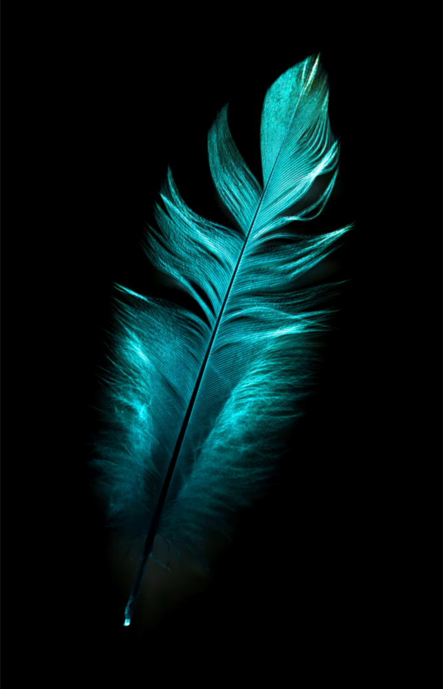 Green Feather Glass Wall Art