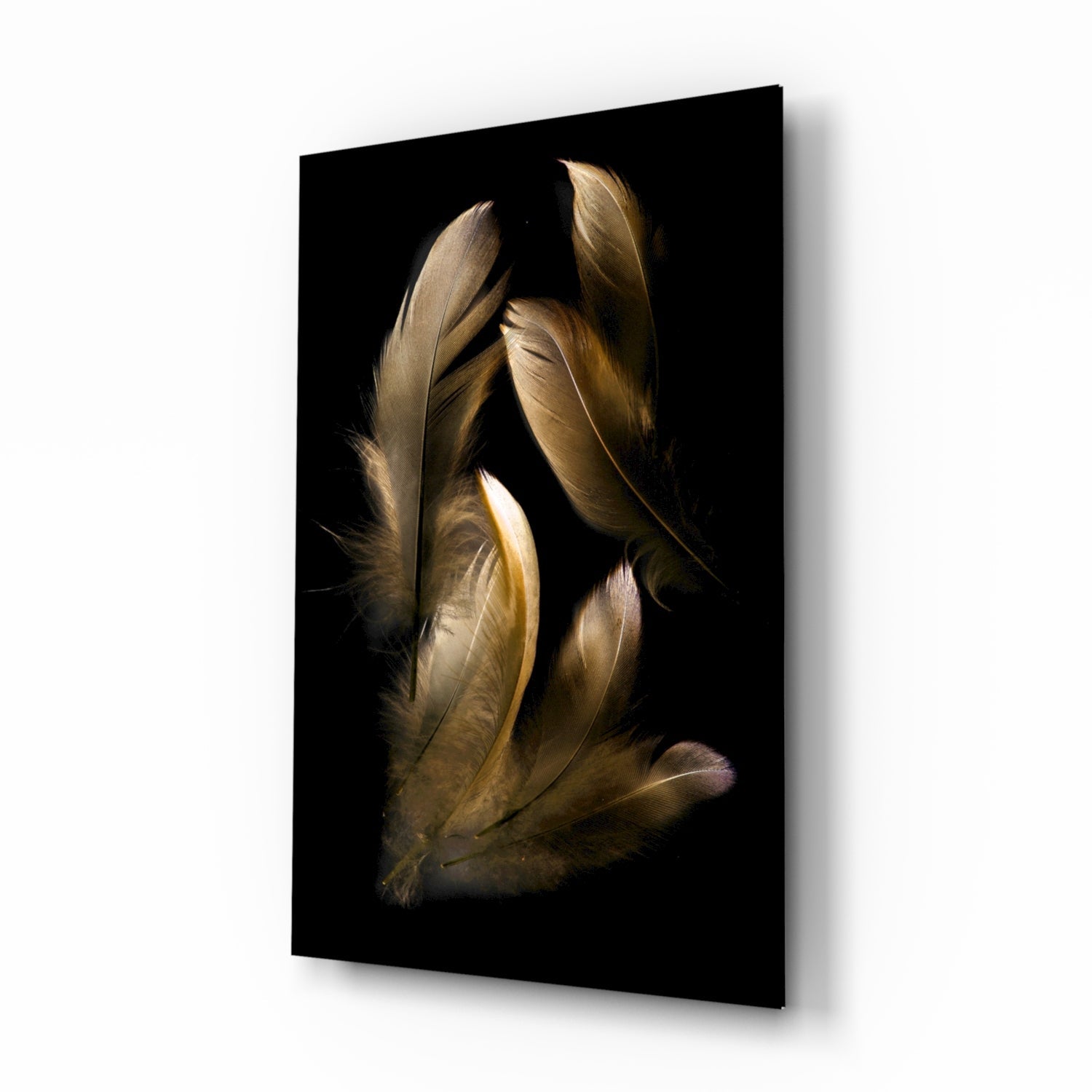 Tan Feather Glass Wall Art.