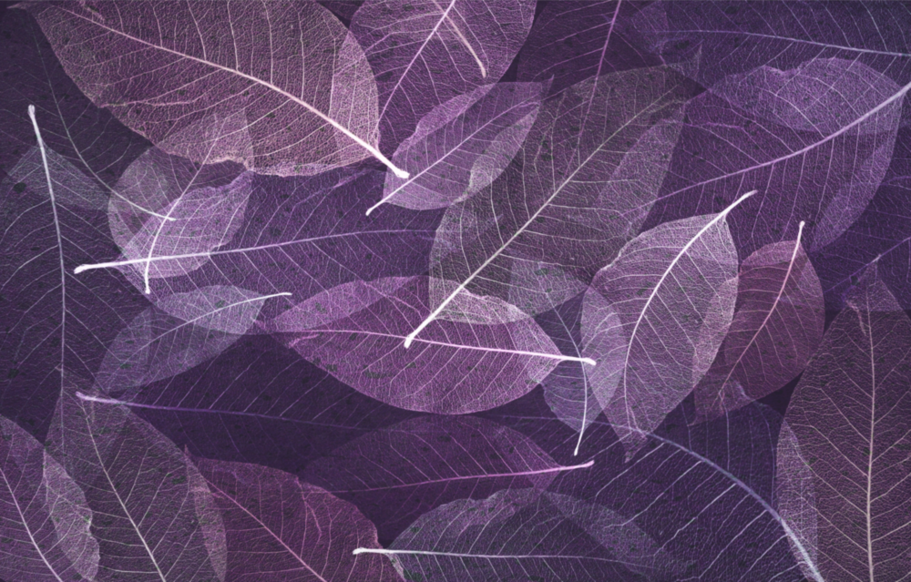 Purple Leaf Glass Wall Art