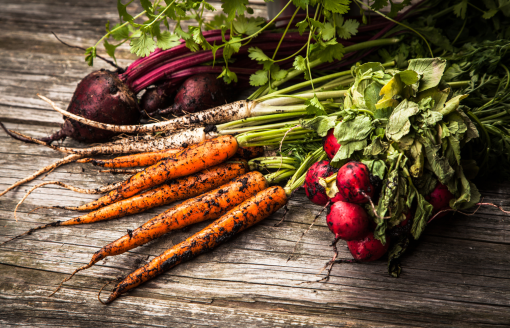 Carrot and Radish Glass Wall Art