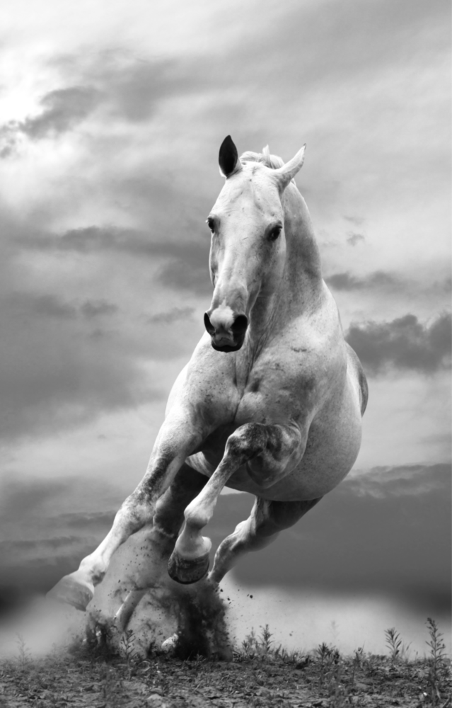 Running Horse Glass Wall Art