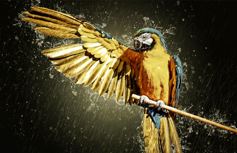 Parrot Glass Wall Art