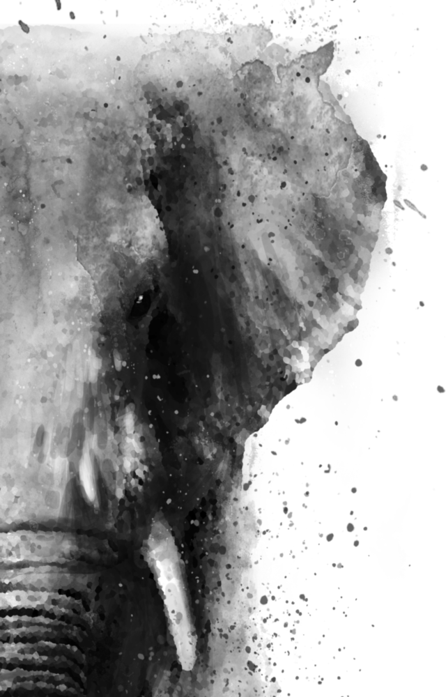 Elephant Glass Wall Art