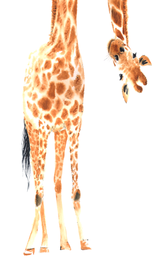 Giraffe Glass Wall Art