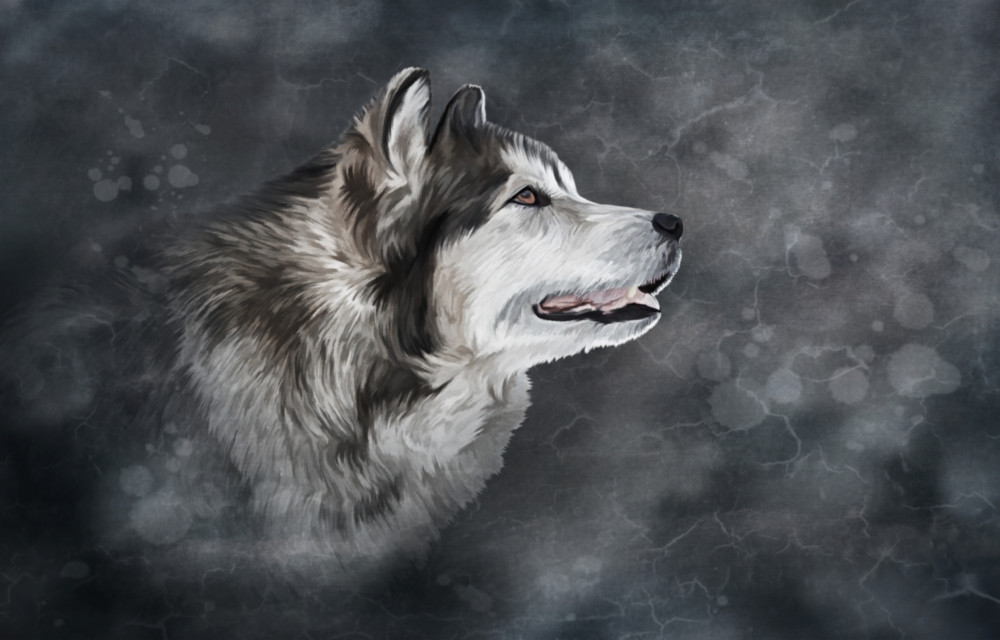 Wolf Glass Wall Art