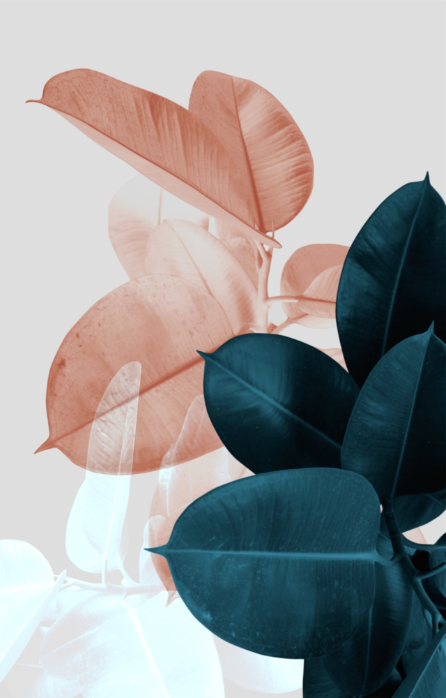 Leaves Glass Wall Art