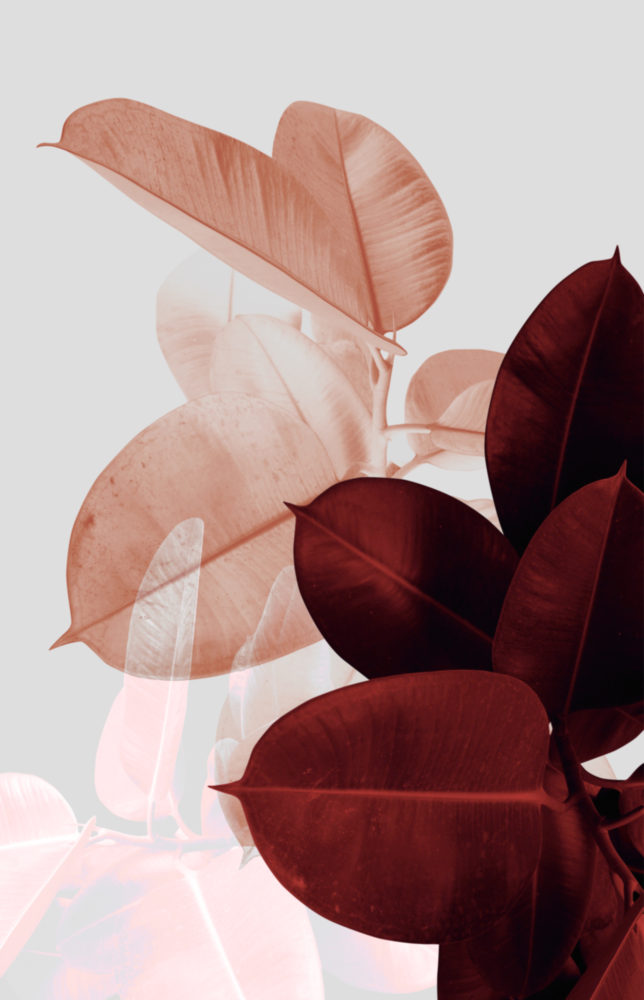 Leaves Glass Wall Art