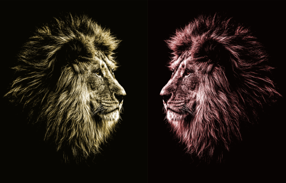 Lion Glass Wall Art