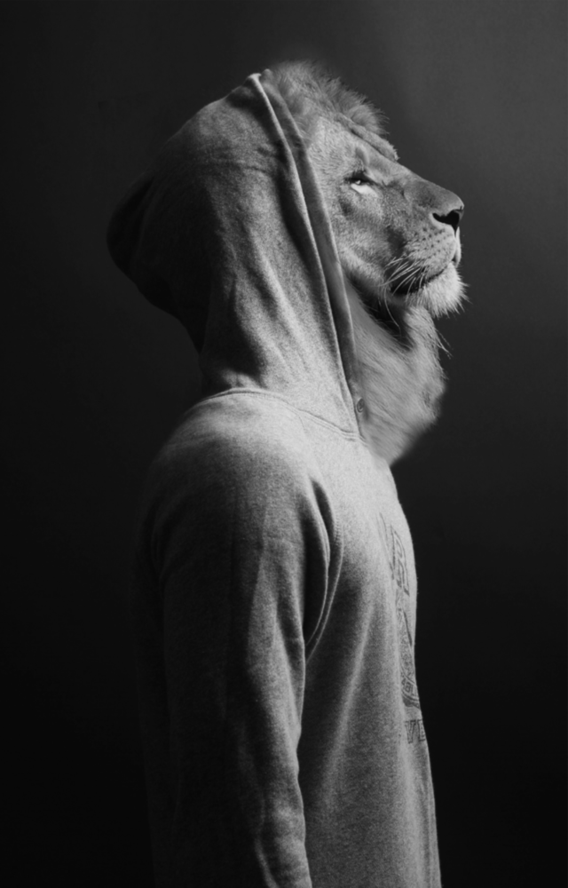 Lion Head Glass Wall Art