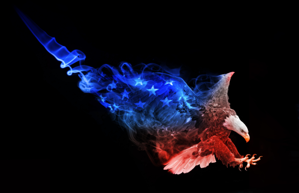 Eagle Glass Wall Art
