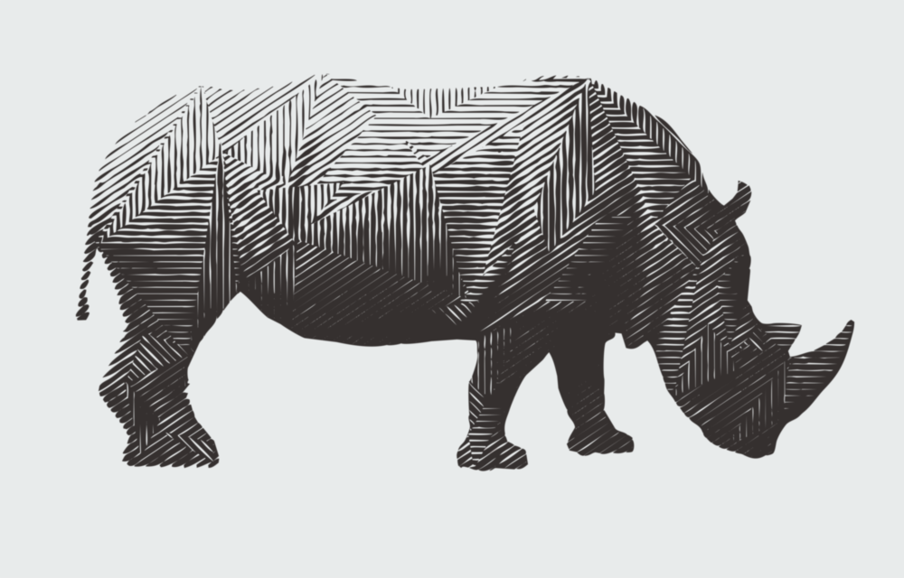 Rhino Glass Wall Art