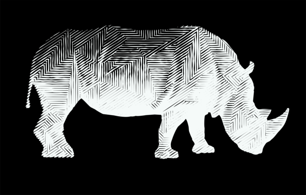 Rhino Glass Wall Art