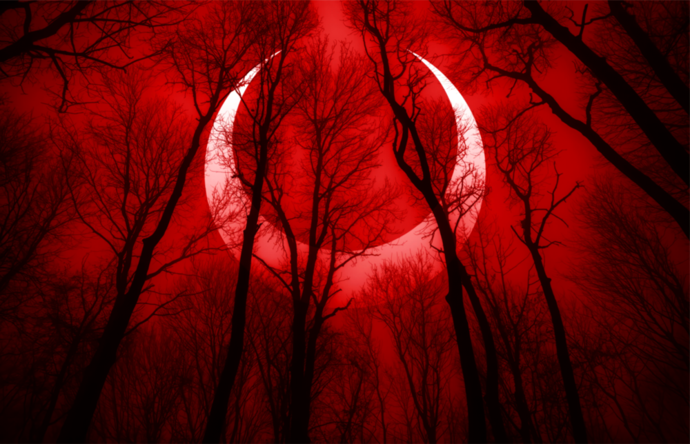 Red Sky Glass Wall Art