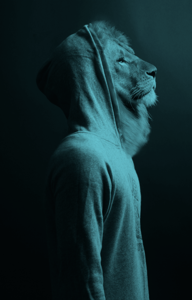 Blue Lion Head Glass Wall Art