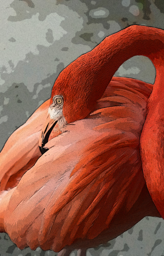 Flamingo Glass Wall Art