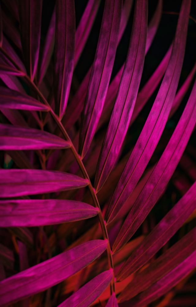 Purple Leaf Glass Wall Art