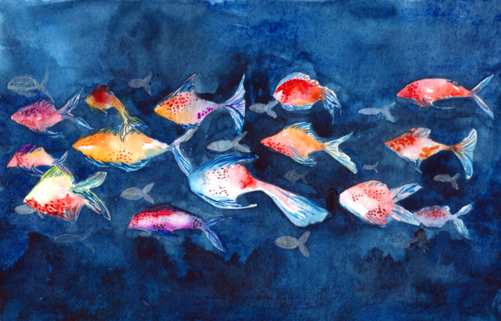 Illustration Fish Glass Wall Art