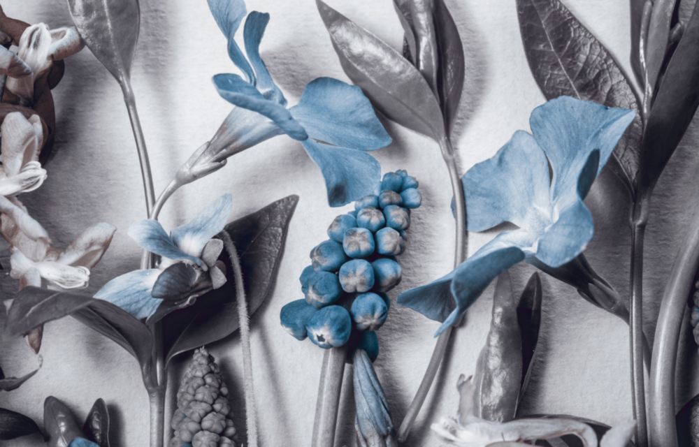 Blue Flowers Glass Wall Art