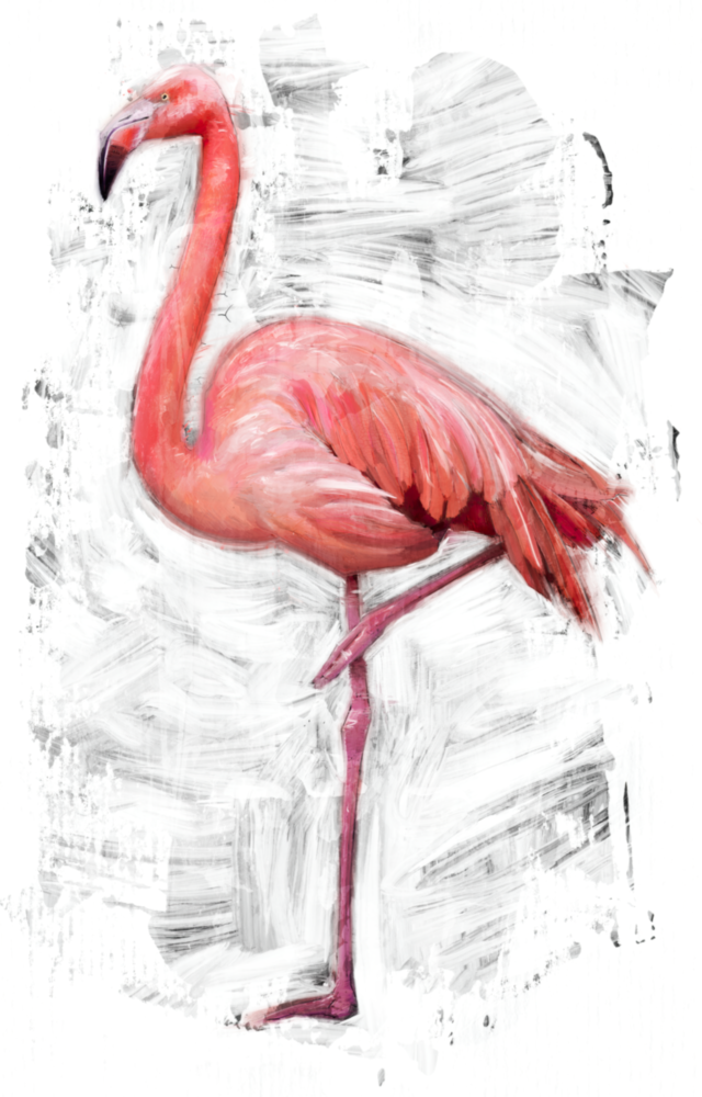 Flamingo Glass Wall Art