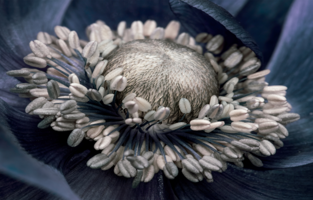 Gray Flower Glass Wall Art