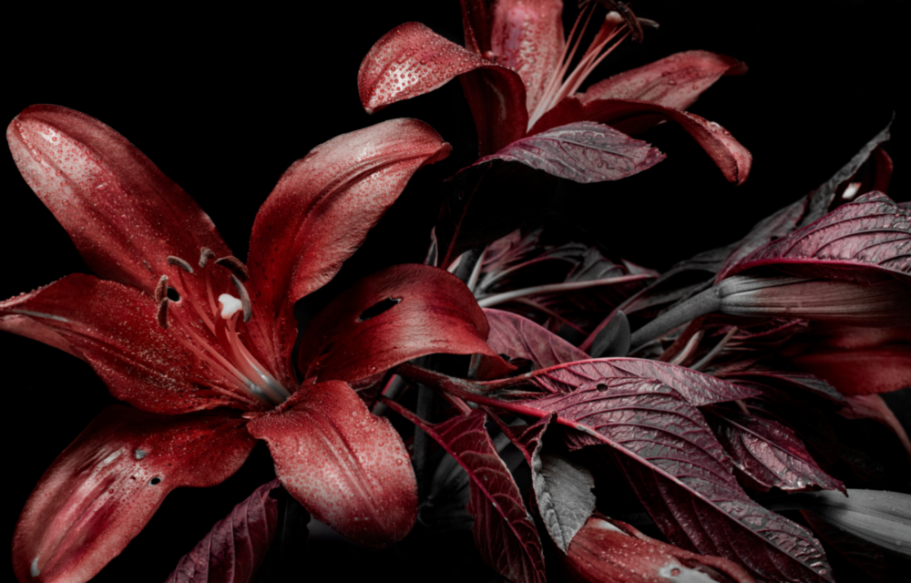 Flowers Glass Wall Art
