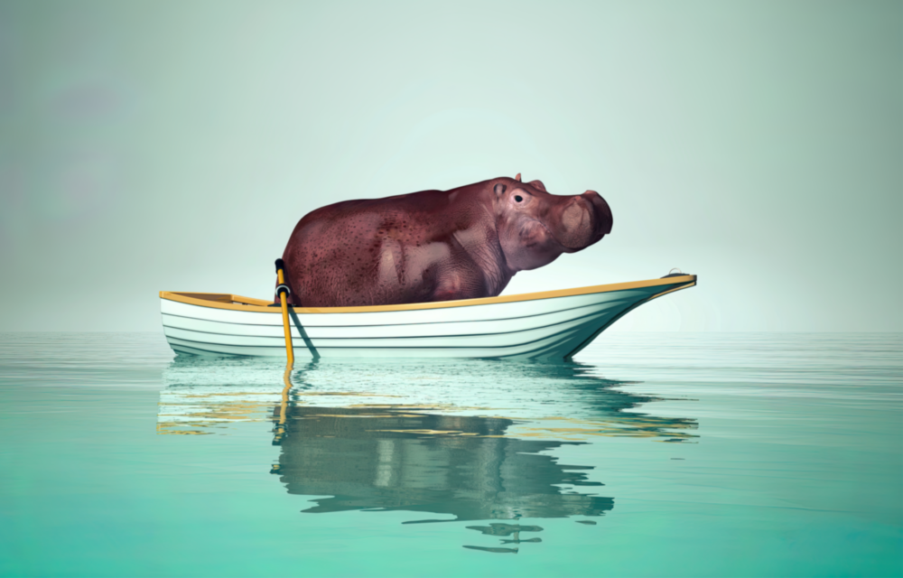 Hippo Glass Wall Art