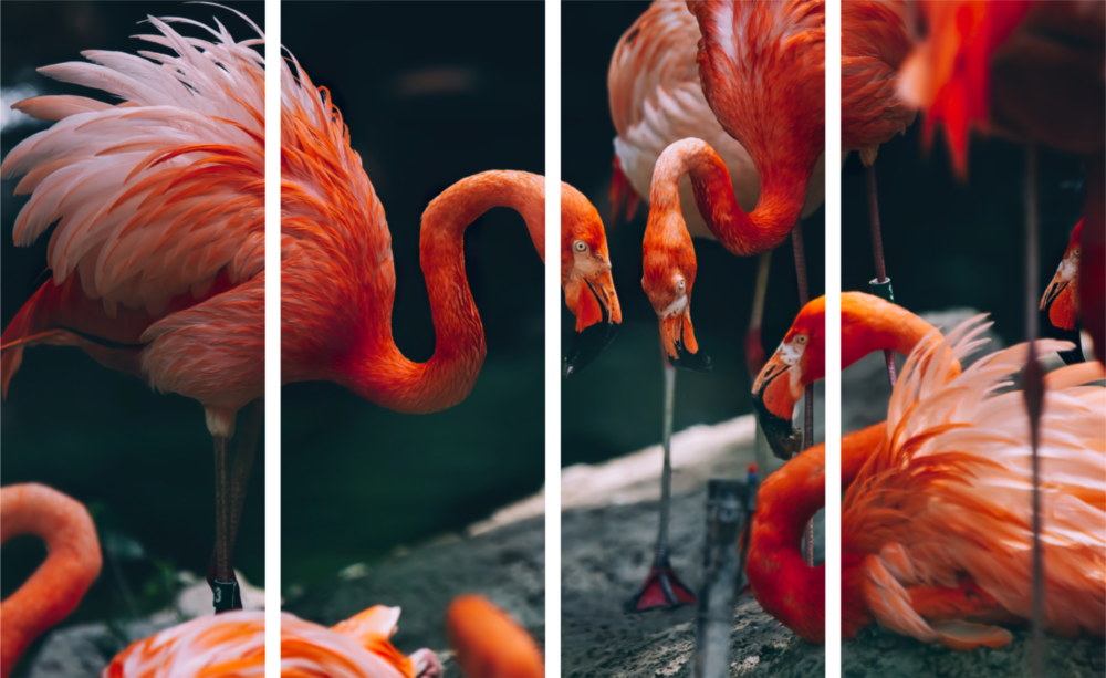 Flamingos 4 Pieces Mega Glass Wall Art (150x92 cm)