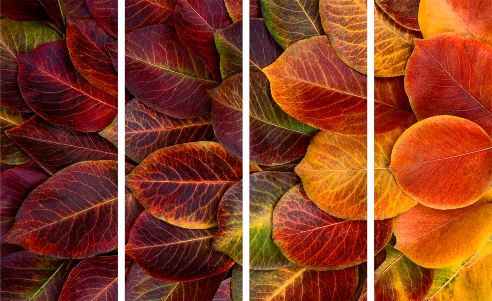 Autumn Leaves 4 Pieces Mega Glass Wall Art (150x92 cm)