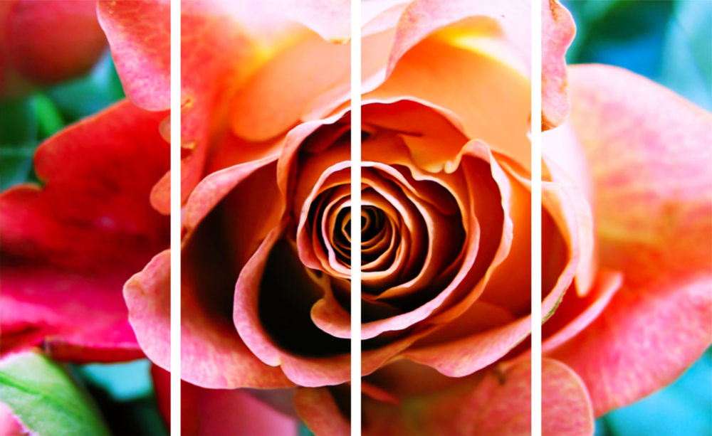 Rose 4 Pieces Mega Glass Wall Art (150x92 cm)