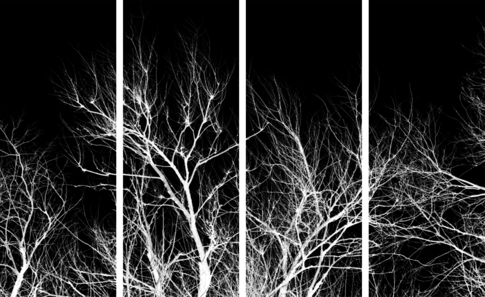 Night Trees 4 Pieces Mega Glass Wall Art (150x92 cm)