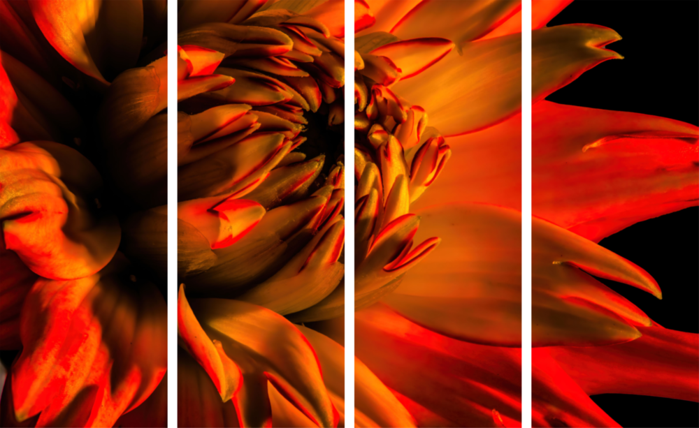 Gerbera Daisy 4 Pieces Mega Glass Wall Art (150x92 cm)