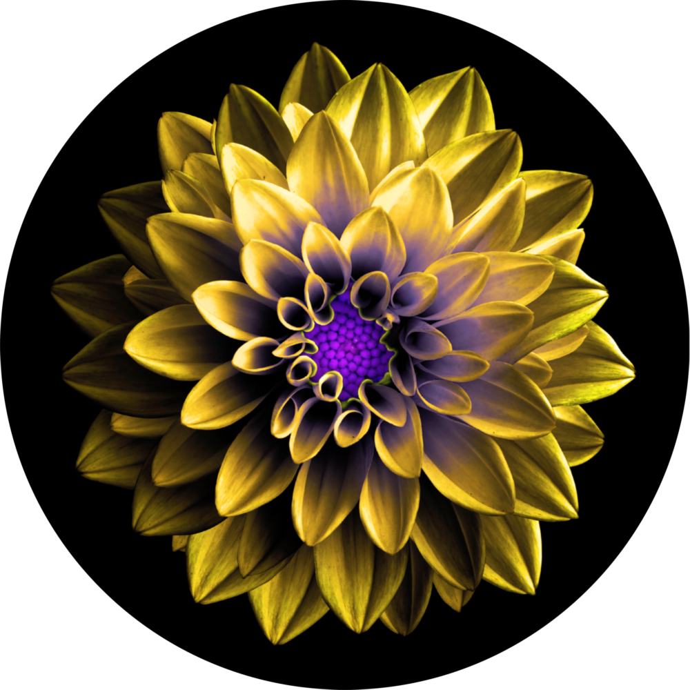 Flower Glass Wall Art