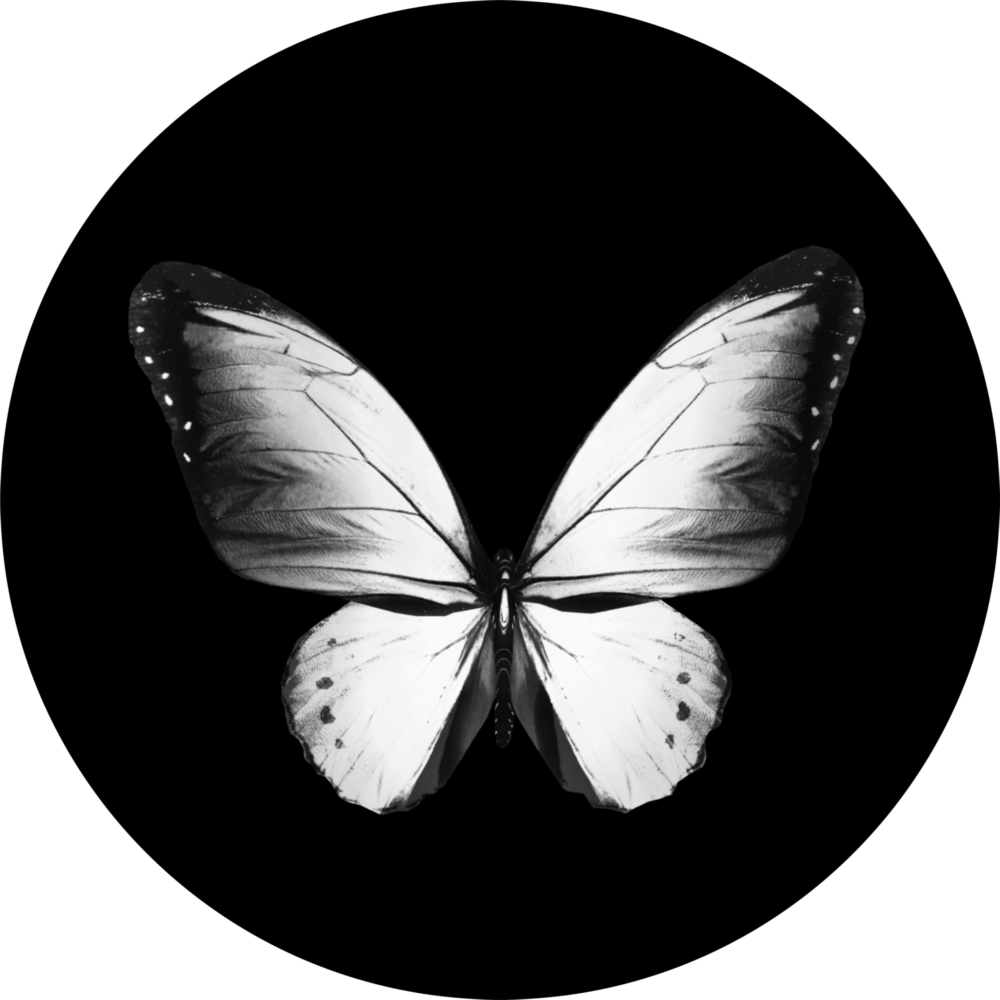 Butterfly Glass Wall Art