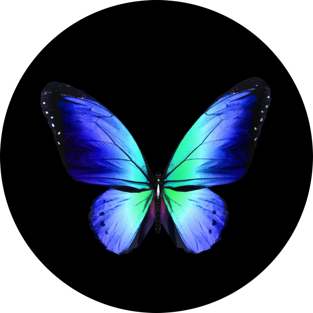 Butterfly Glass Wall Art