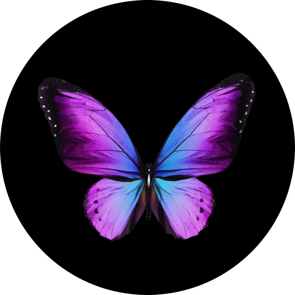 Butterfly Glass Wall Art